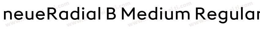 neueRadial B Medium Regular字体转换